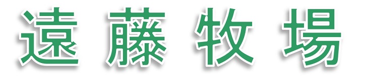 遠藤　勇